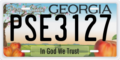 GA license plate PSE3127