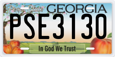 GA license plate PSE3130