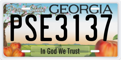 GA license plate PSE3137