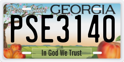 GA license plate PSE3140
