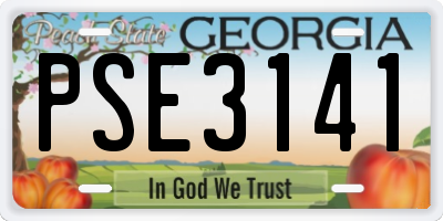 GA license plate PSE3141