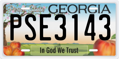 GA license plate PSE3143