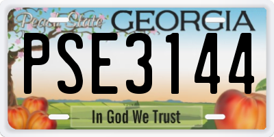 GA license plate PSE3144