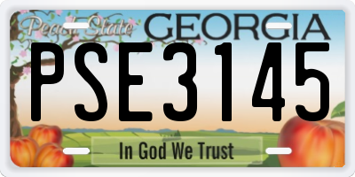 GA license plate PSE3145