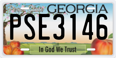 GA license plate PSE3146