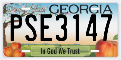 GA license plate PSE3147