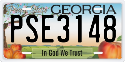 GA license plate PSE3148