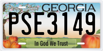 GA license plate PSE3149