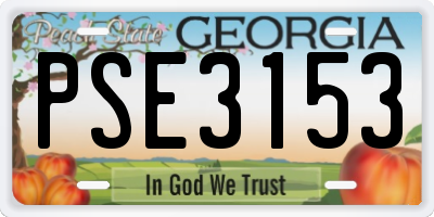 GA license plate PSE3153