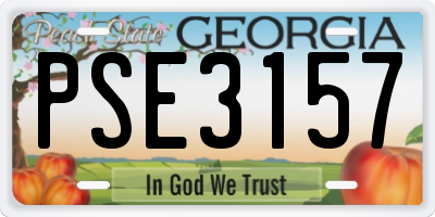 GA license plate PSE3157