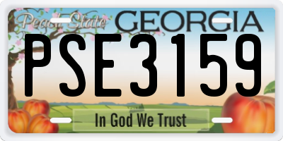 GA license plate PSE3159