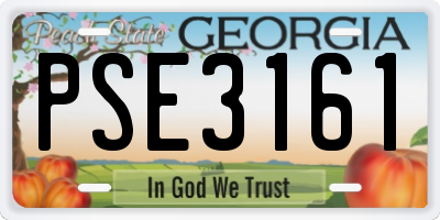 GA license plate PSE3161