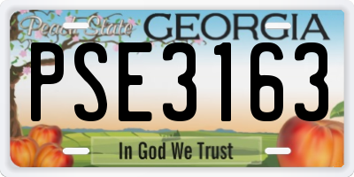 GA license plate PSE3163