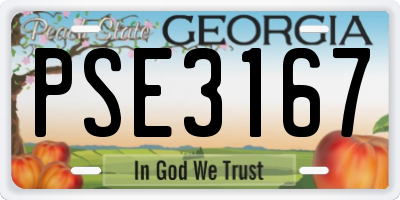 GA license plate PSE3167