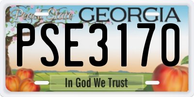 GA license plate PSE3170