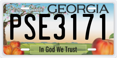 GA license plate PSE3171