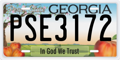 GA license plate PSE3172