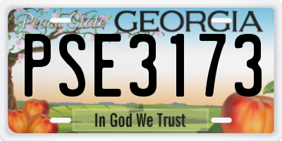 GA license plate PSE3173
