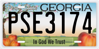GA license plate PSE3174