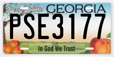 GA license plate PSE3177