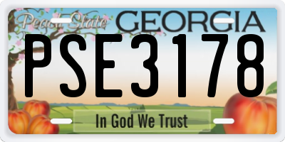 GA license plate PSE3178