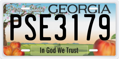GA license plate PSE3179
