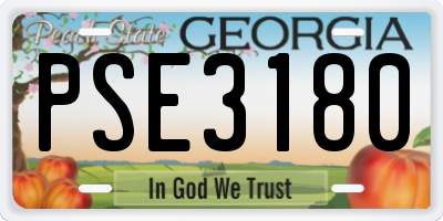 GA license plate PSE3180