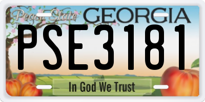 GA license plate PSE3181