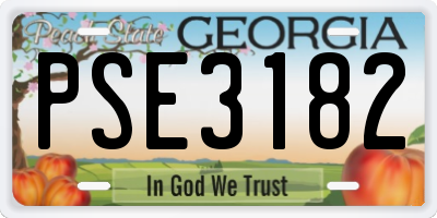 GA license plate PSE3182