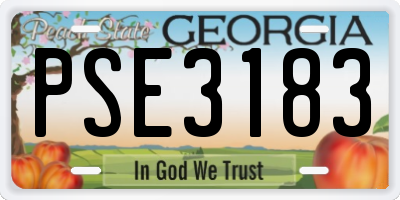 GA license plate PSE3183