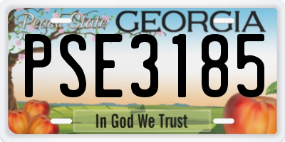 GA license plate PSE3185