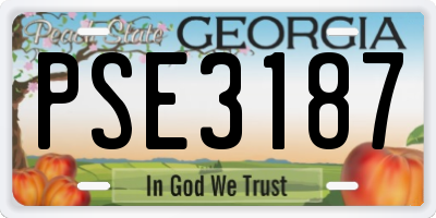 GA license plate PSE3187