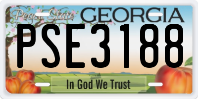 GA license plate PSE3188