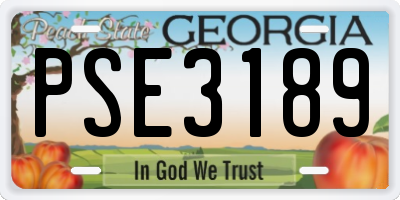 GA license plate PSE3189