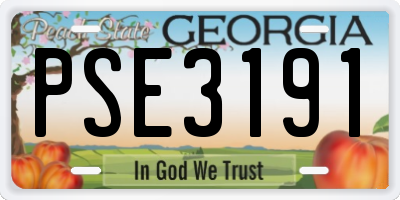 GA license plate PSE3191