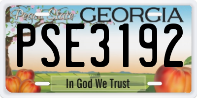 GA license plate PSE3192