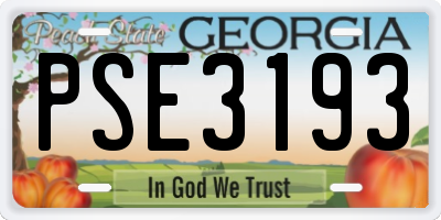 GA license plate PSE3193