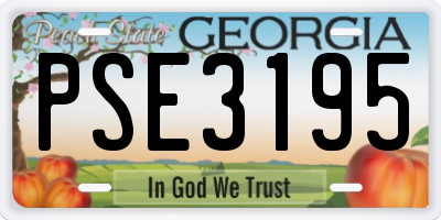 GA license plate PSE3195