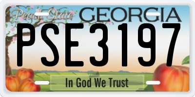 GA license plate PSE3197