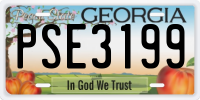 GA license plate PSE3199