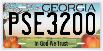 GA license plate PSE3200
