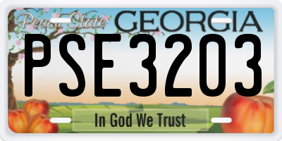 GA license plate PSE3203