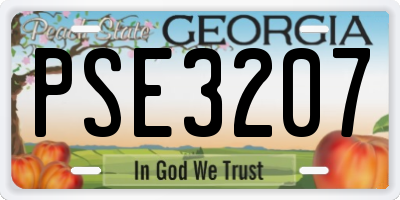 GA license plate PSE3207