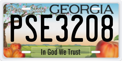 GA license plate PSE3208