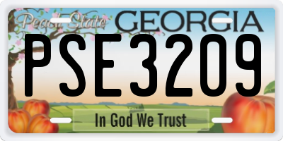 GA license plate PSE3209