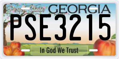 GA license plate PSE3215