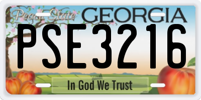 GA license plate PSE3216