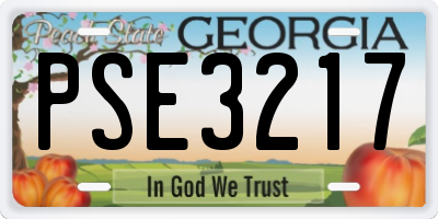 GA license plate PSE3217