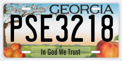 GA license plate PSE3218