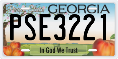 GA license plate PSE3221